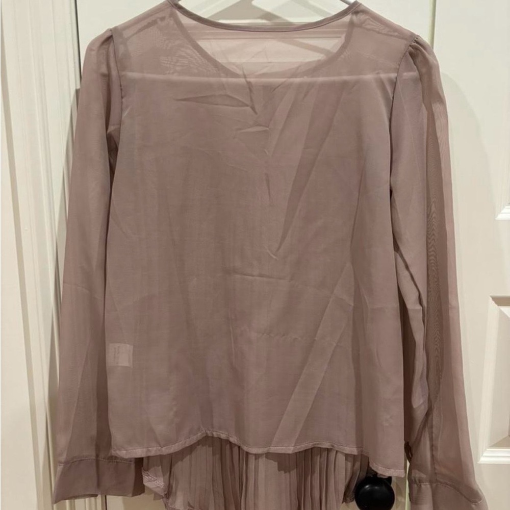 Elegant Sheer Long Sleeve Blouse